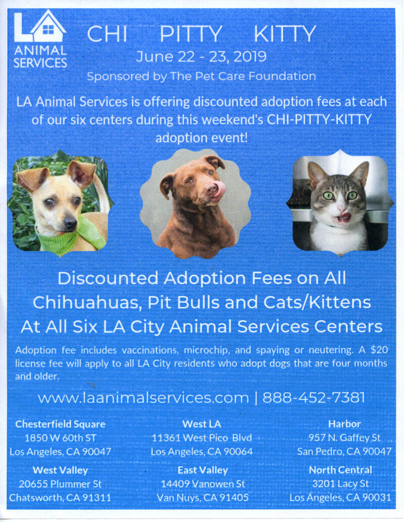 LA Animal Services CHI PITTY KITTY – June 22-23, 2019