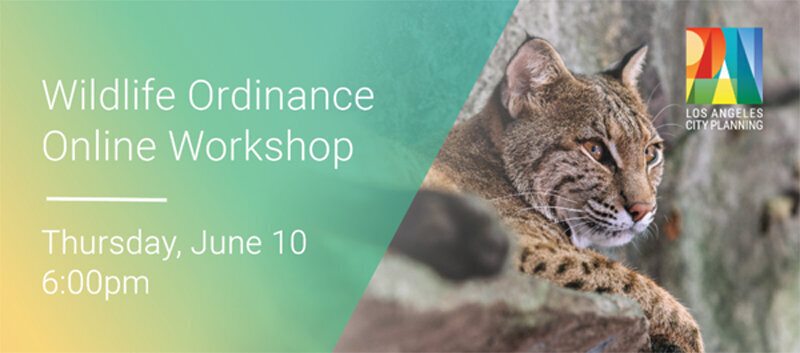 Wildlife Ordinance Online Workshop:  Thursday, June 10th