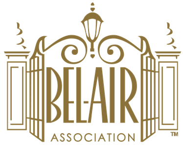 KEEPING UP WITH THE BAA! A few of this week’s updates!
