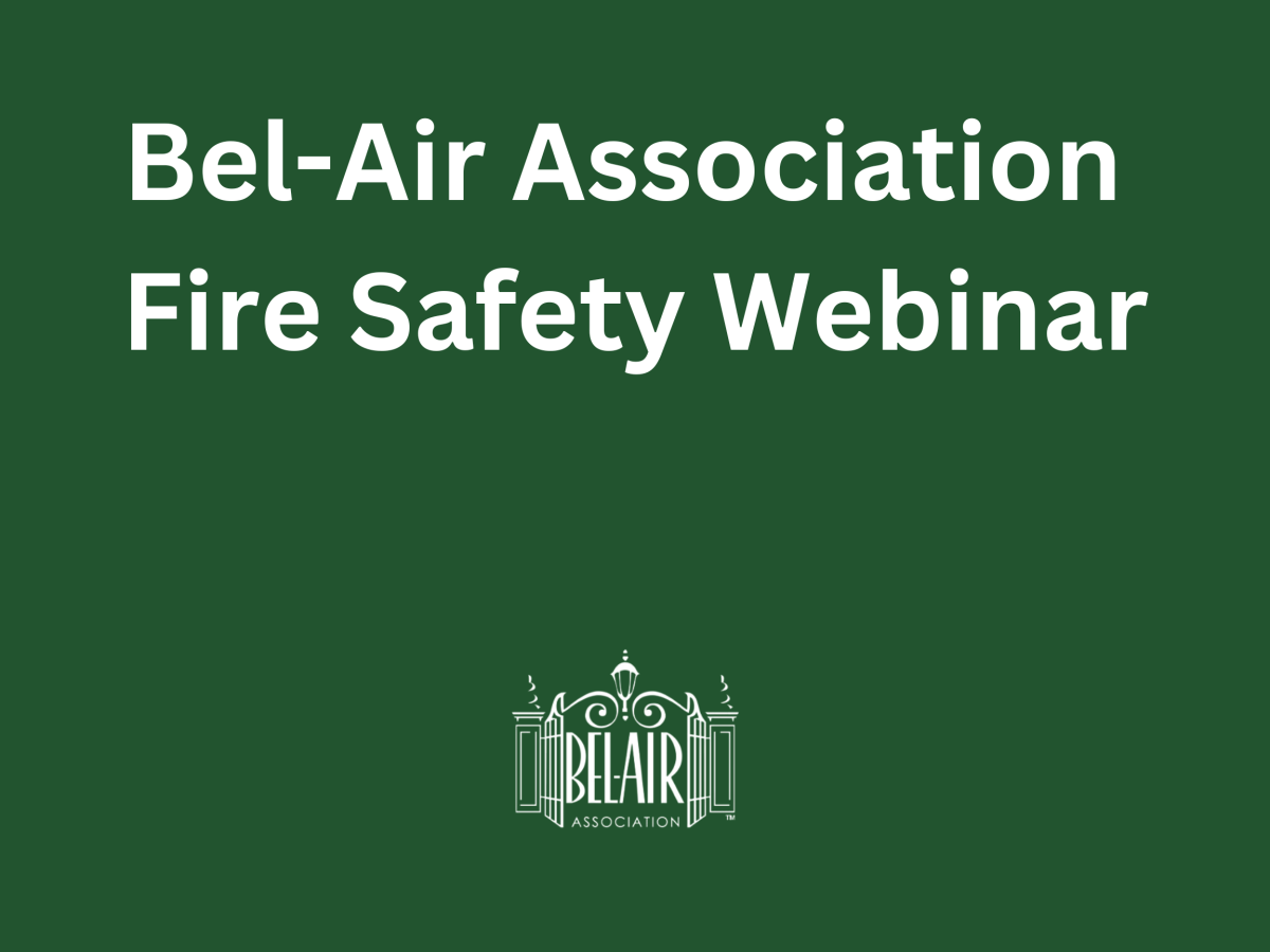 BAA Fire Safety Webinar 2025